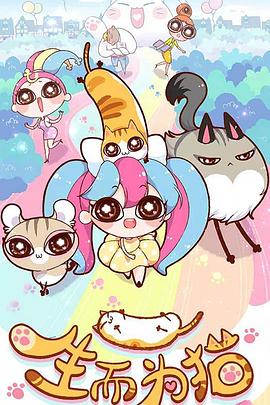 湘乡市优化网站建设